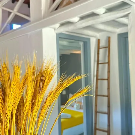 Ps House - Ps